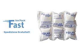 ECO FAST ICE PACK 2 G250x140