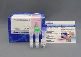 Amino Acid Uptake Assay Kit