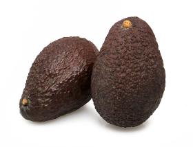 Australian Avocado