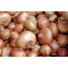 Onions 