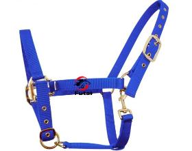 horse halter,metal eyelet,25MM wide &6MM thick PP webbing