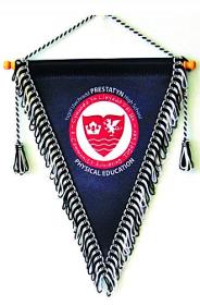 Pennants