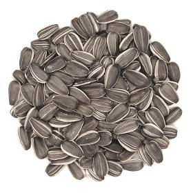 sunflower seeds