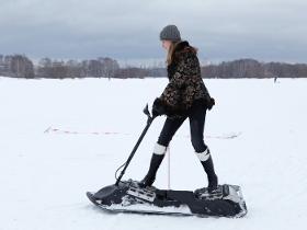 Electric motosnowboard