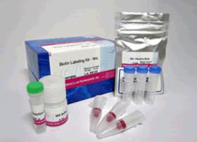 Biotin Labeling Kit-NH2