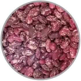 Purple Speckled Kidney Beans