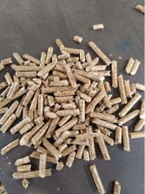 European spruce Wood Pellet