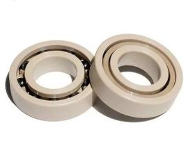 PEEK Bearings