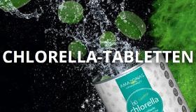 Chlorella algae – the green filter of the seas