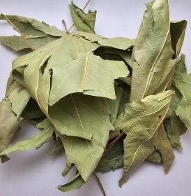Sycamore leaves, Листья платана, Platanus orientalis