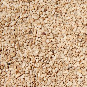 Natural Sesame Seeds Burkina Faso