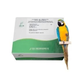 Avian DNA Test Kit