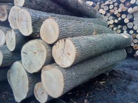 Ash Round Logs