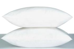 Sleeping Pillows