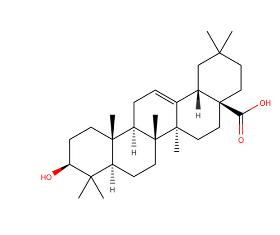 Oleanolic Acid