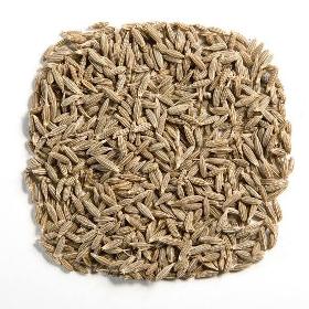 Cumin Seed For Sale