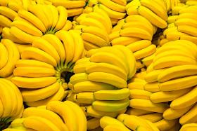 Bananas