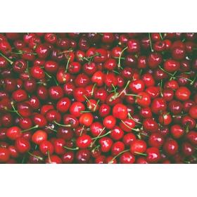 Organic Cherries 