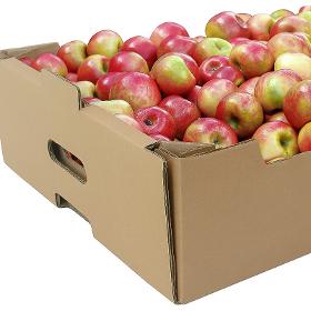 Vegetable and Fruit Cardboard Boxes