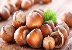 Hazelnuts plant TGL 