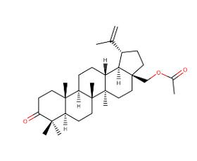 3-Oxobetulin acetate