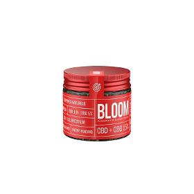 Bloom Focus CBD+ CBG