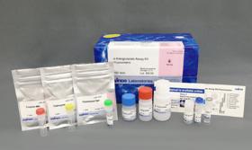 Alpha-Ketoglutarate Assay Kit-Fluorometric