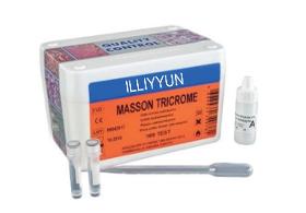 Masson Trichrome