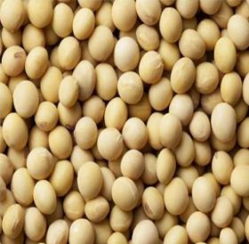 Soybeans