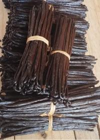 Gourmet Grade A Vanilla beans  