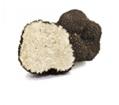 Mountain Truffles