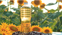 Refined Sunflower Oil