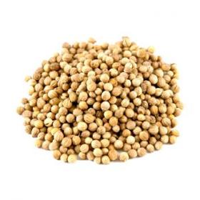 Coriander