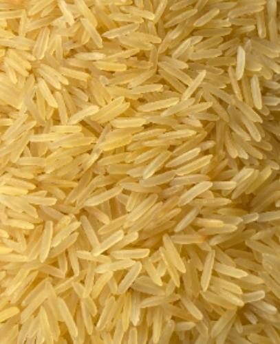 1509 Golden Basmati Rice 