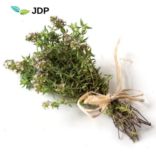 Thyme essential oil