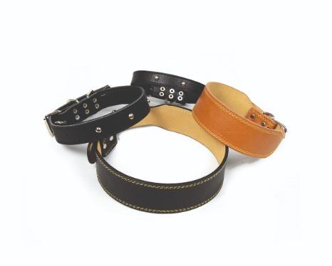 Leather Dog Collar