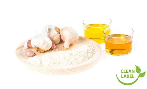 Garlic Powder & Garlic Liquid Extracts