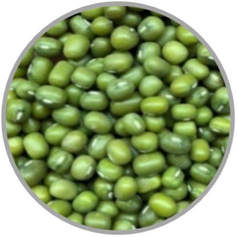 Green Mung Beans