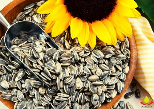 Sunflower seeds