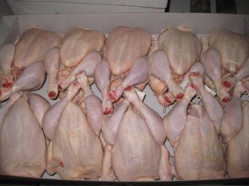 Suppliers fresh and frozen chicken - europages