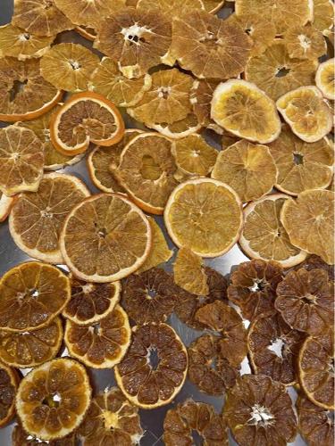 Dried Orange Chips