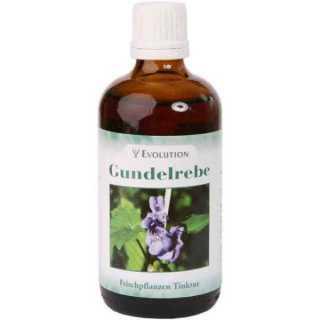 Ground Ivy Tincture 100ml