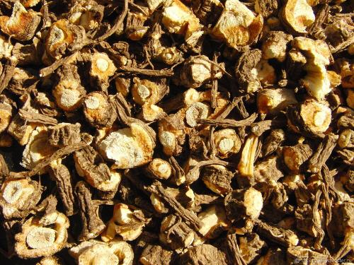 Devesil CO2 extract (Levisticum officinale)