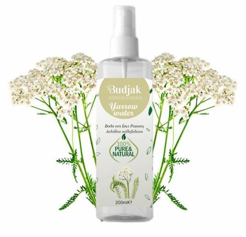 Yarrow floral water (Achillea millefolium) 200 ml.