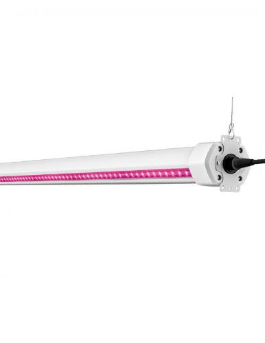 AGRO-B LED Bifocal Linear