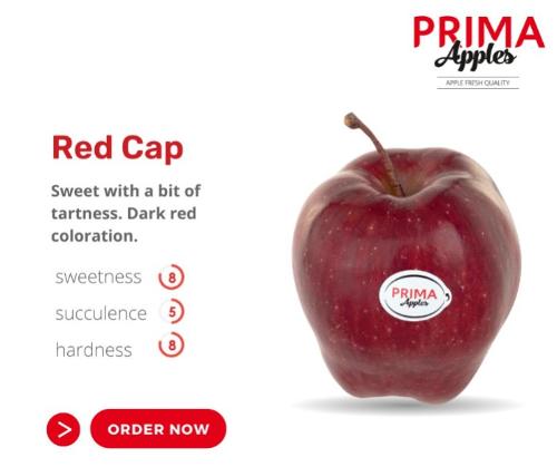 Red Cap apples