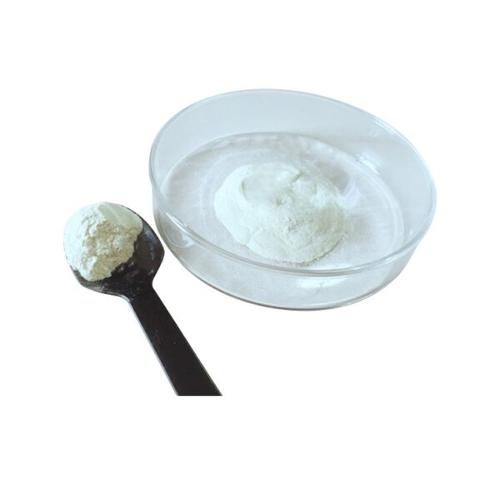 Ferrous Sulfate Monohydrate