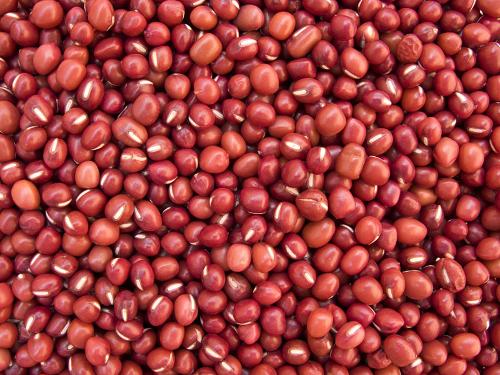 Red Sorghum