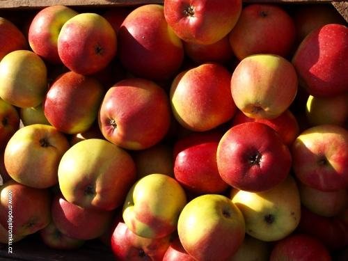 Ligol apples