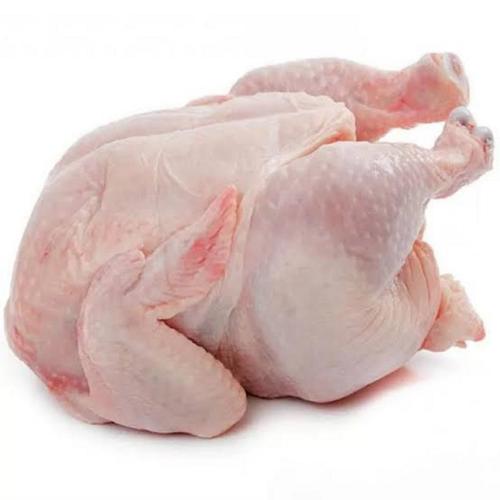 Brazil Chicken Wholesale Suppliers